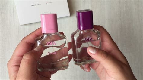 zara perfume gardenia dupe|zara perfume orchid dupe.